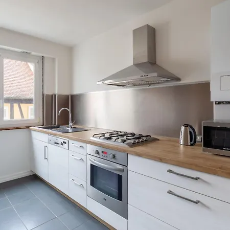 Le Schwendi Apartment Colmar